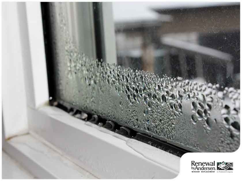 Comparing Window Condensation in Summer and Winter